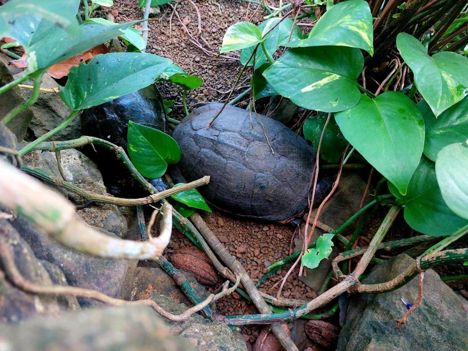 GENTE D'AQUI Ngê D'ai êê Sao Tome Exterior foto