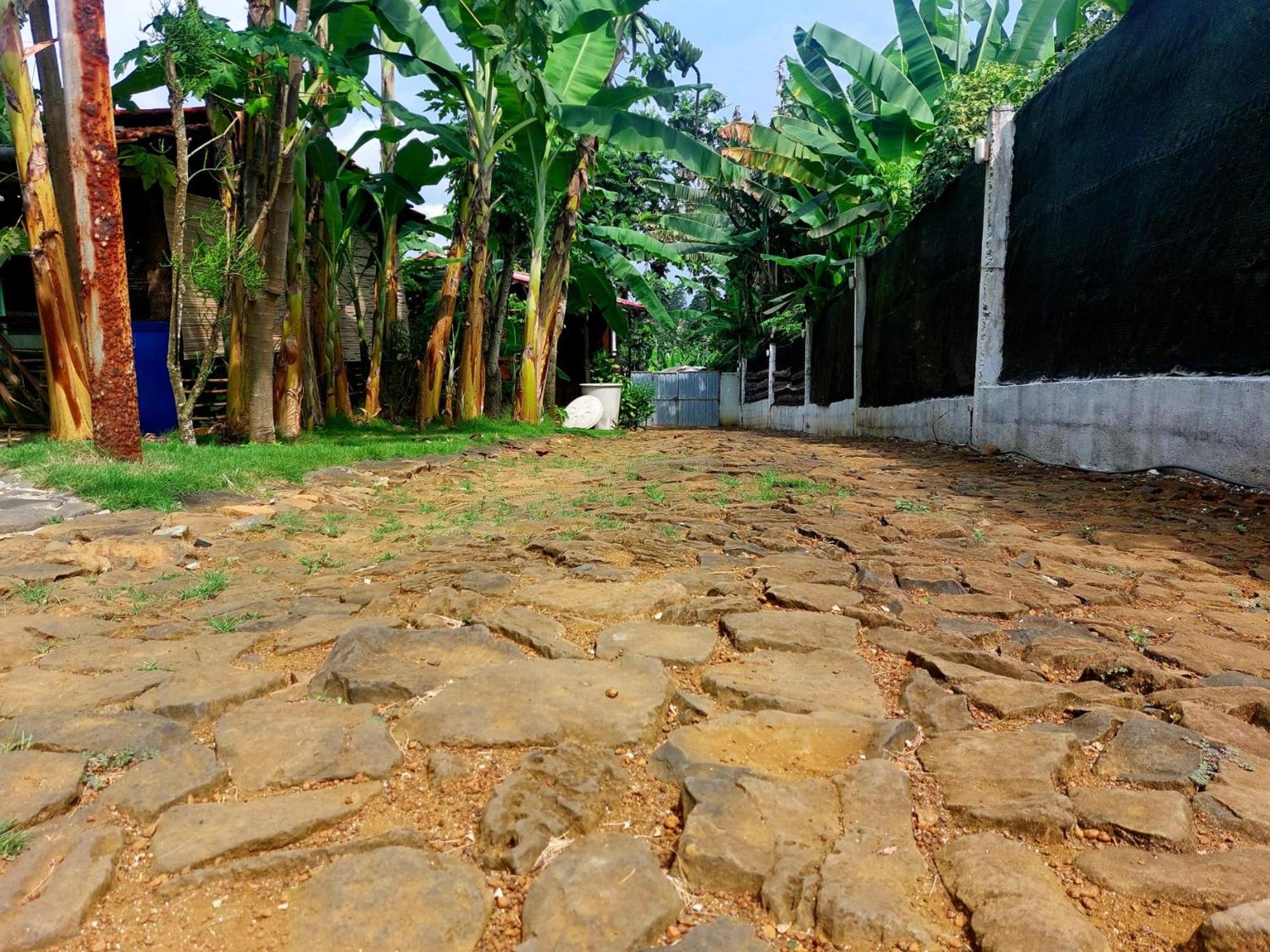GENTE D'AQUI Ngê D'ai êê Sao Tome Exterior foto